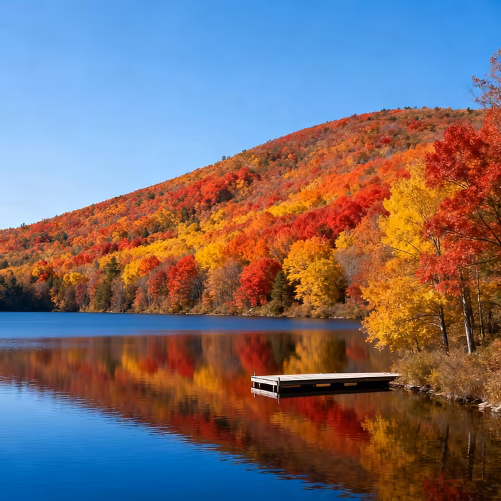 Vibrant autumn foliage of red and orange trees overlooking a calm, blue Finger Lake.