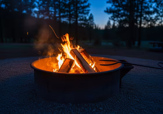 A well-contained campfire burning safely within a designated metal fire ring at a state park campsite.